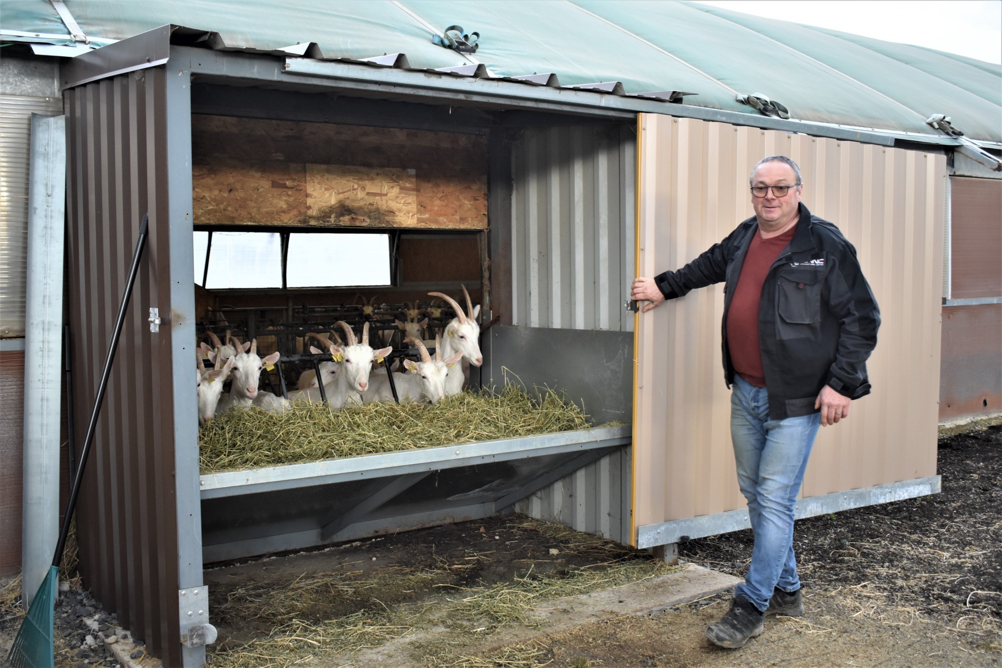 Alimentation des chèvres, comment diminuer la pénibilité ?