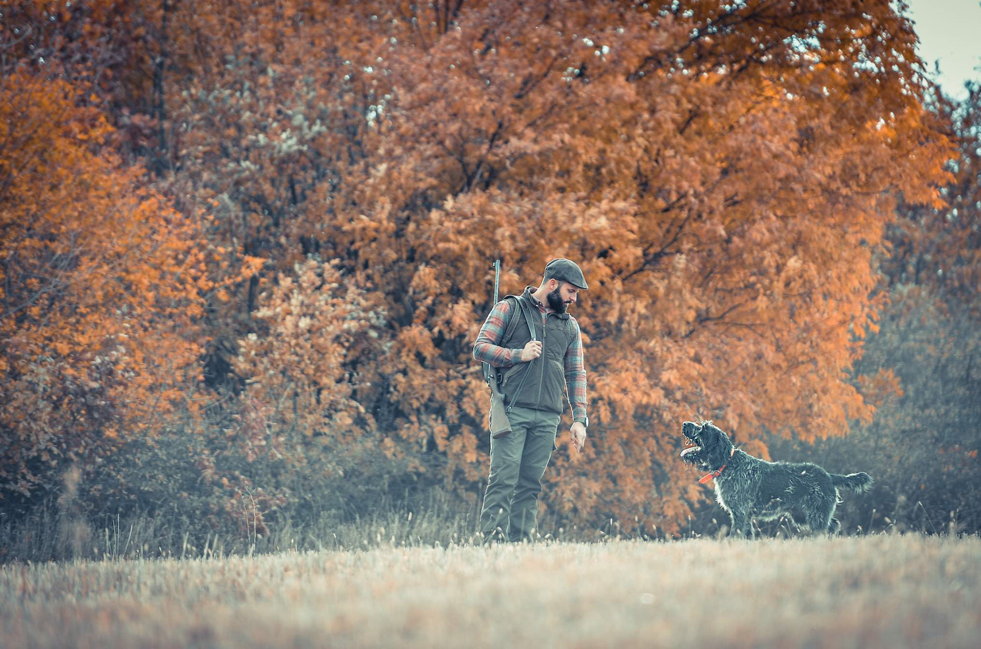 Une liste de chasseurs aux européennes ?