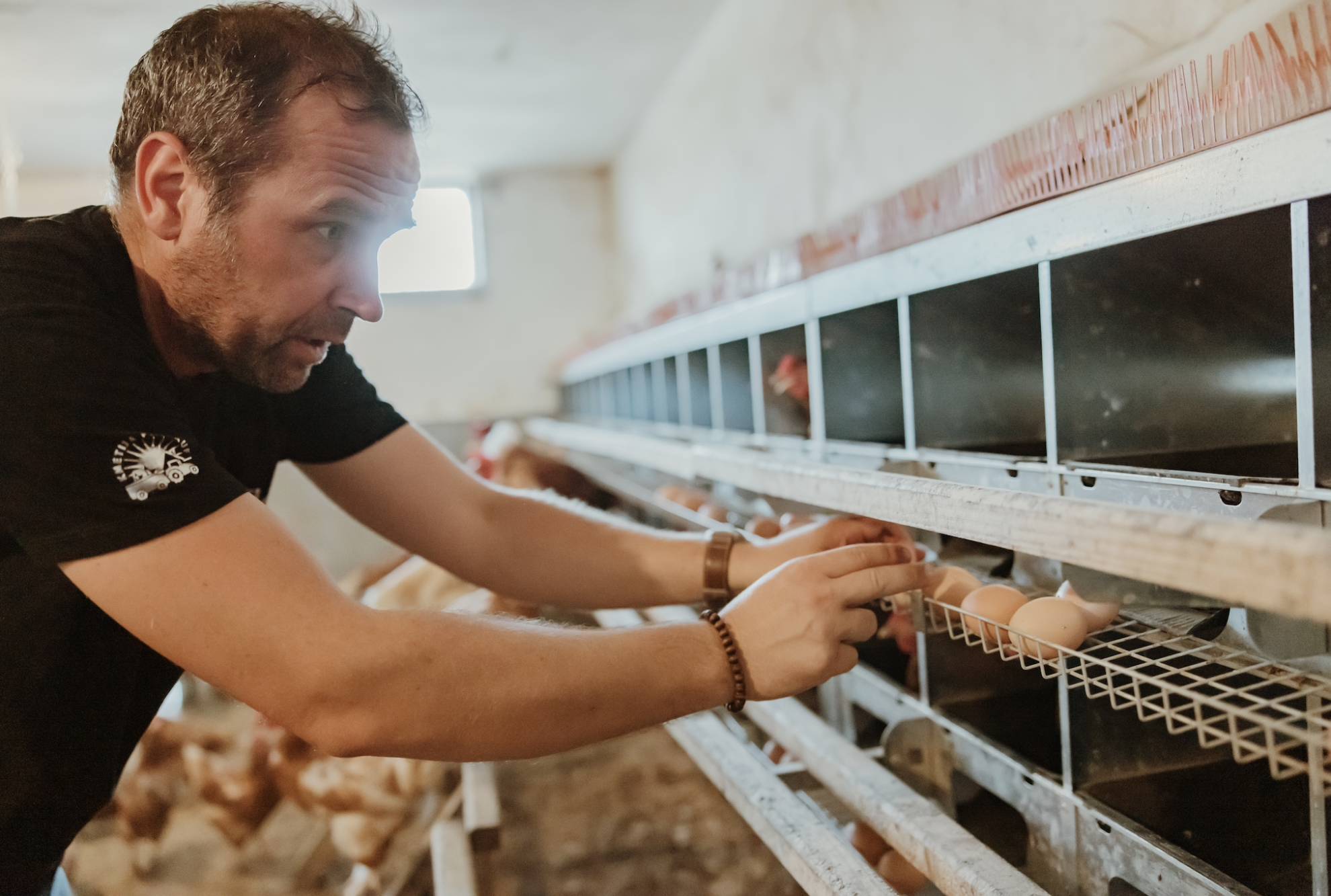 Œufs : la CFA très inquiète