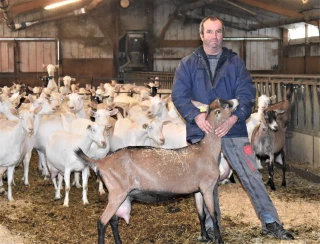 Pailleuse automatique : un gain de temps et d’énergie