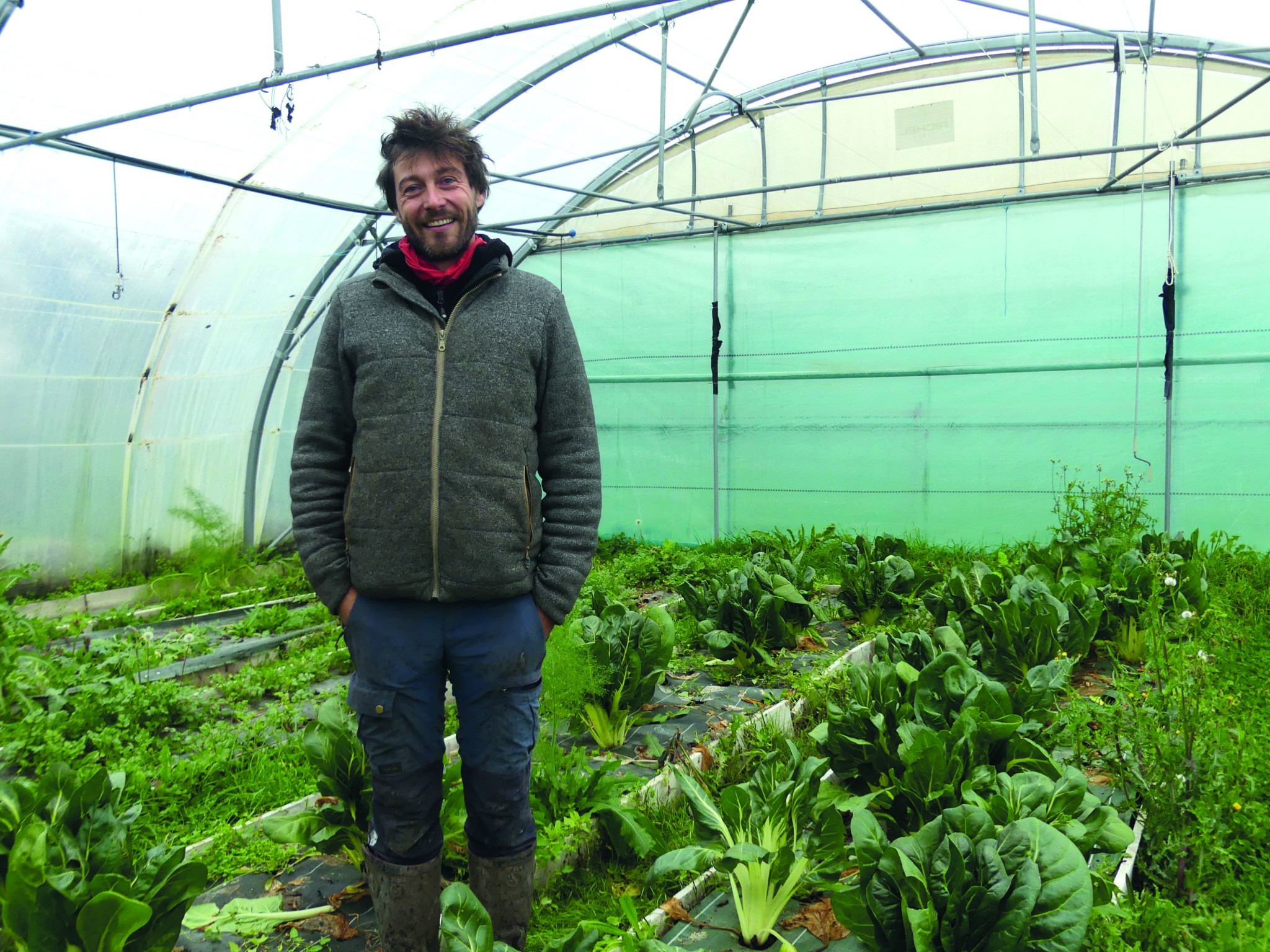 La Ferme des Buis : favoriser la structuration biologique du sol