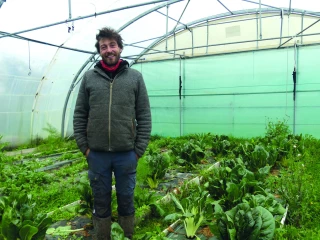 La Ferme des Buis : favoriser la structuration biologique du sol