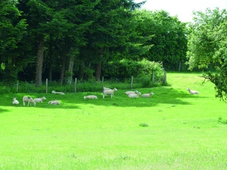 Mardi 21 février : une journée pour partager de nouvelles connaissances