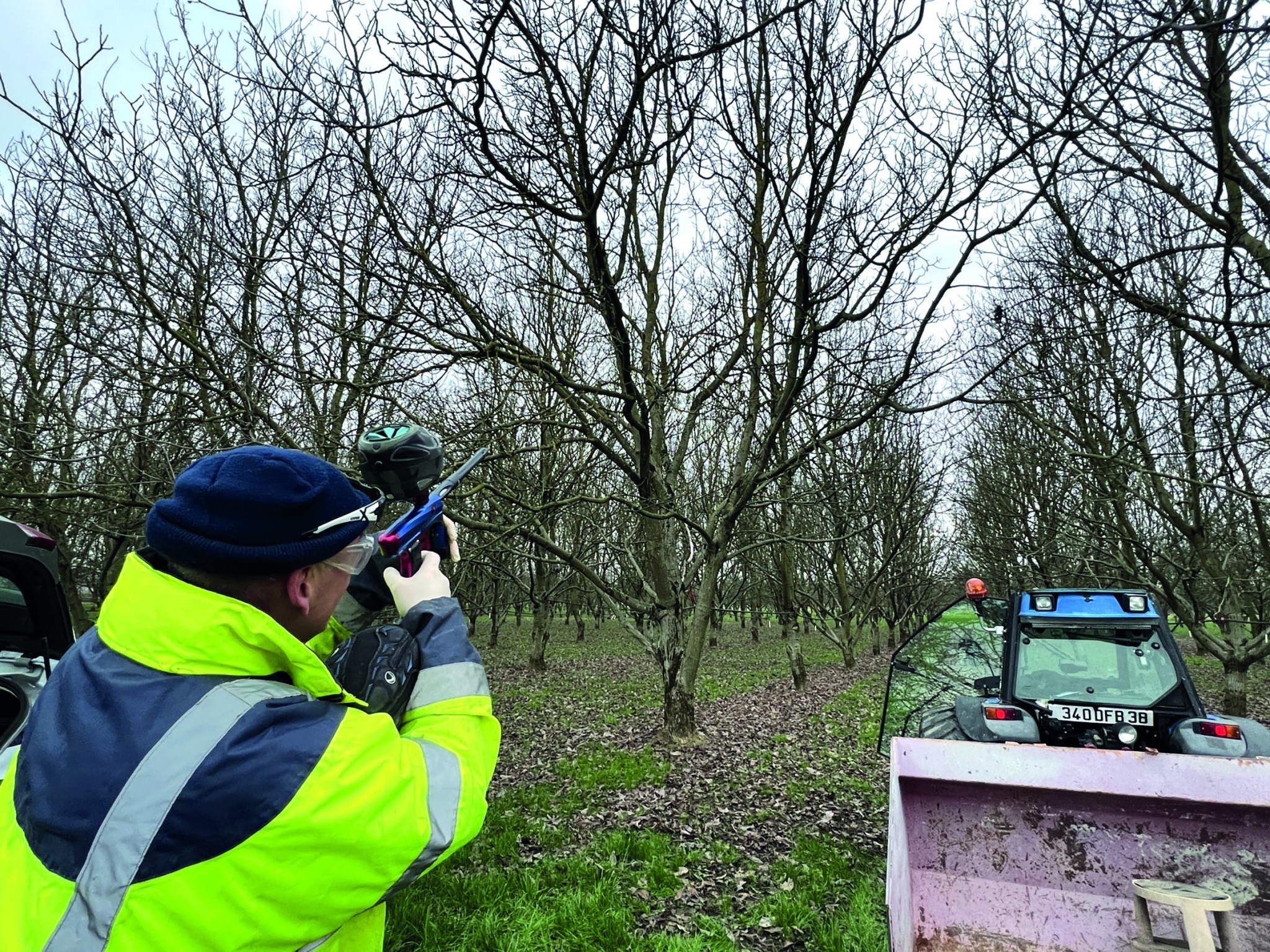 Du paintball dans les vergers