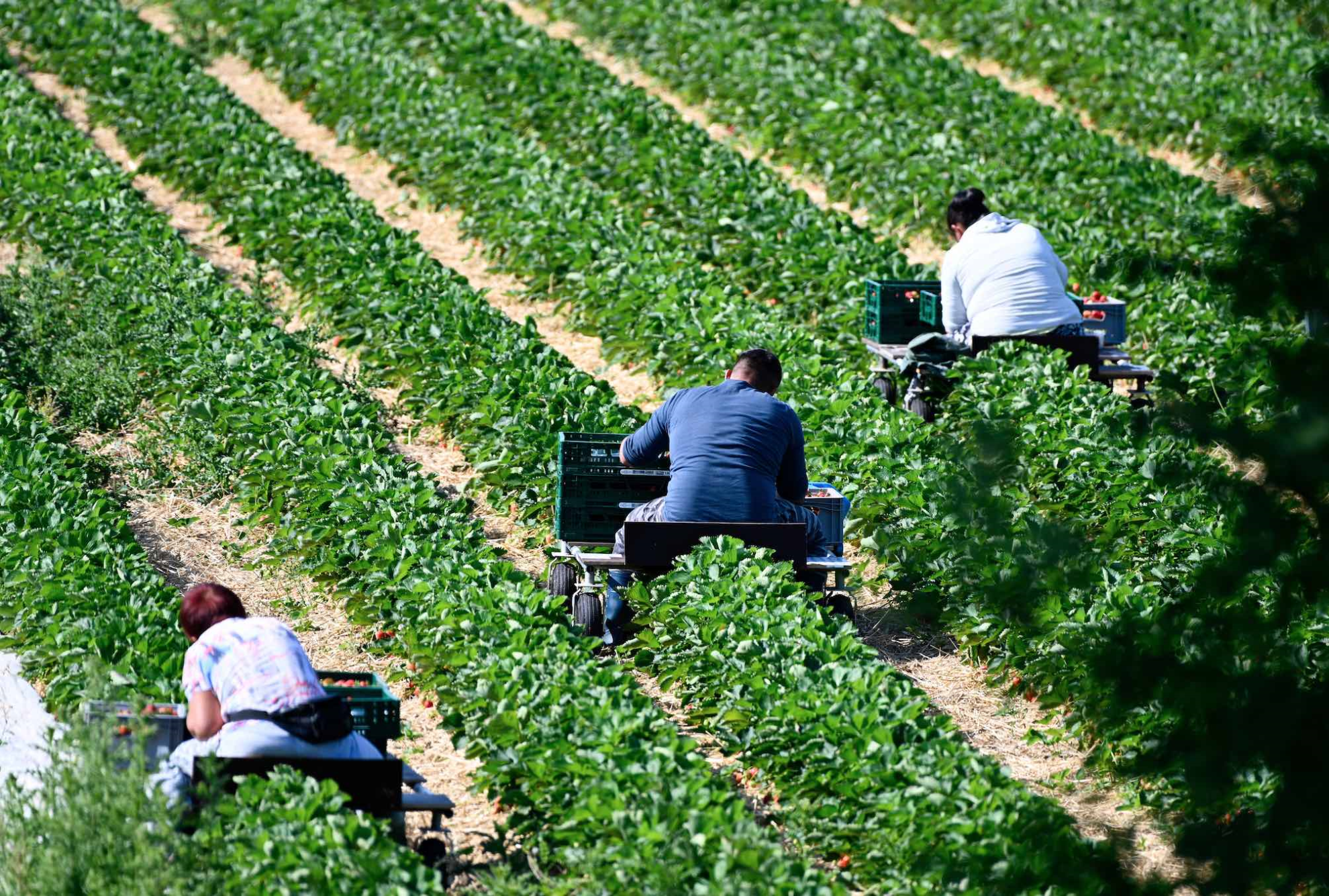 Travail : faire concilier les attentes des salariés et des employeurs