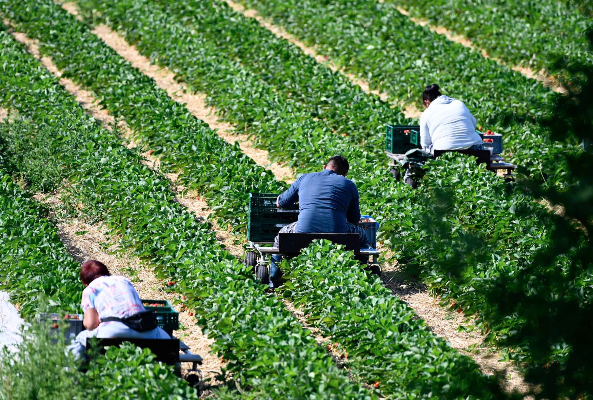 Travail : faire concilier les attentes des salariés et des employeurs