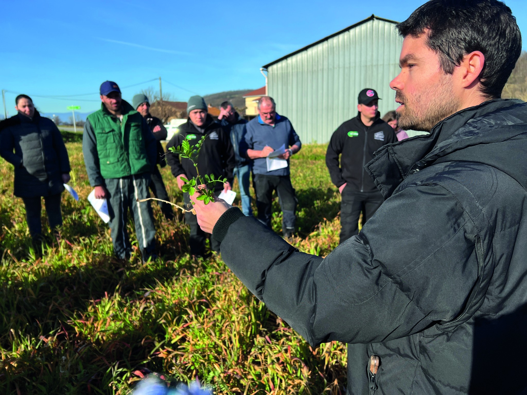 Couverts végétaux : enrichissement des sols, engrais verts et protection de l’eau 