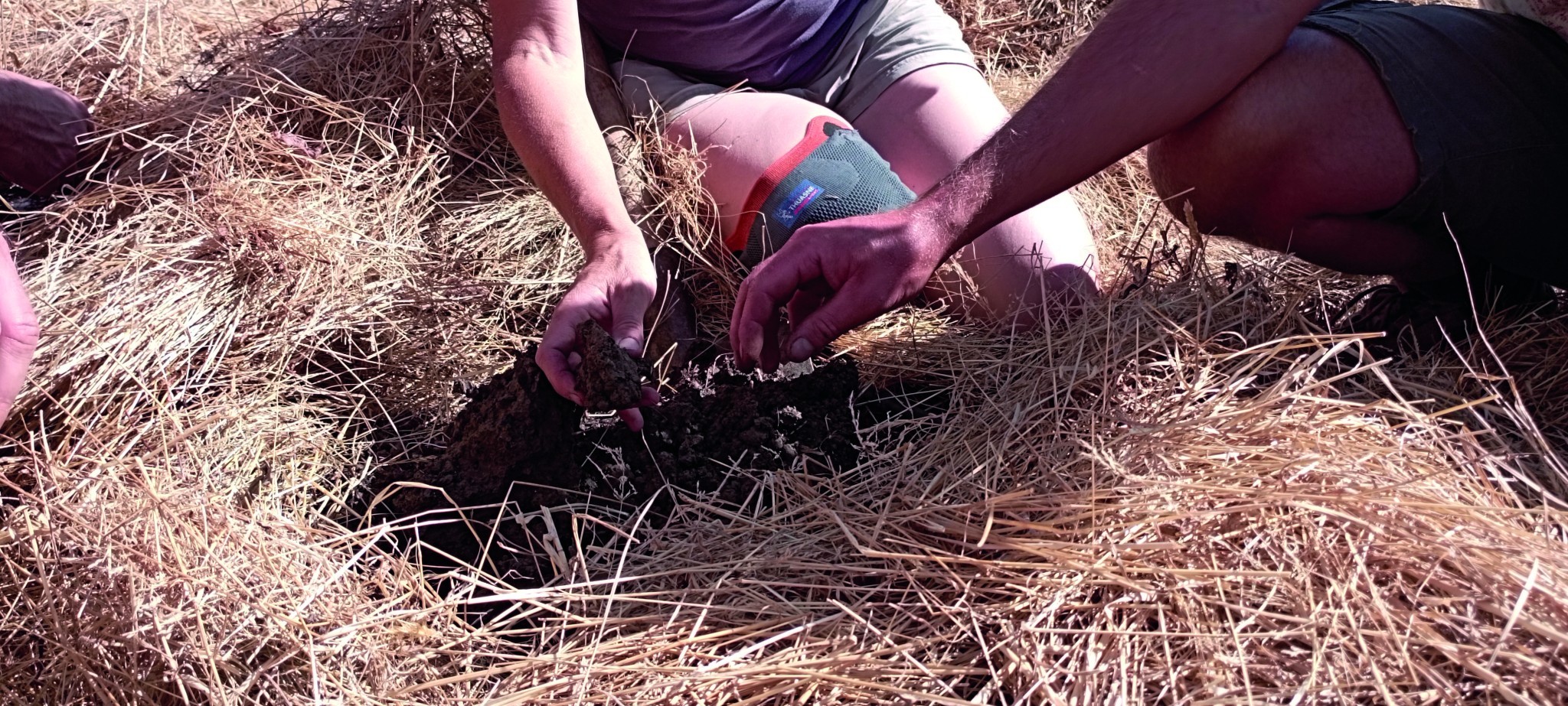 Remettre les sols maraîchers en vie