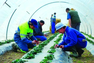 Travailleurs en situation de handicap : zoom sur  les dispositifs d’aides sociales accordées