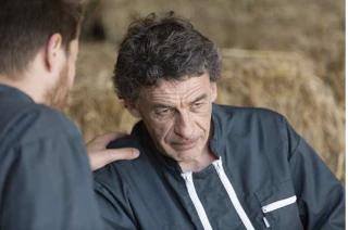 Des sentinelles pour lutter contre le mal-être en agriculture