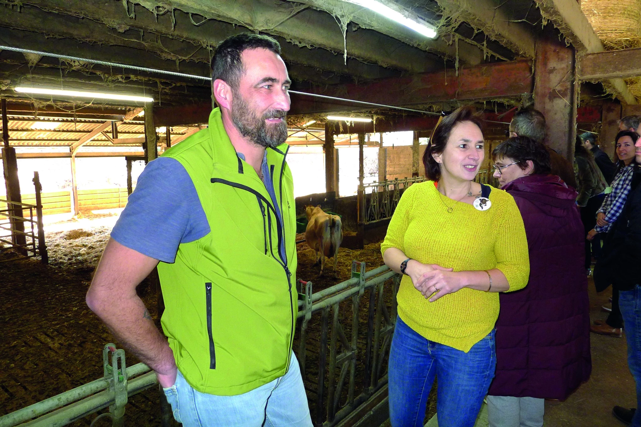 Gaec Jersiaise des Combes  : hausse des ventes sur Agrilocal