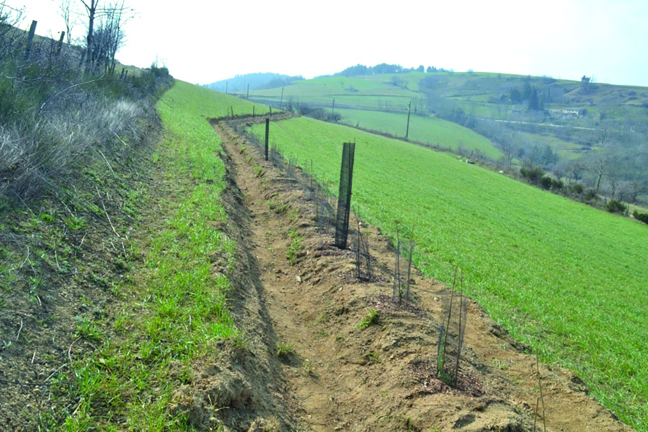 Keyline design : une technique pour faciliter le stockage d’eau dans le ...