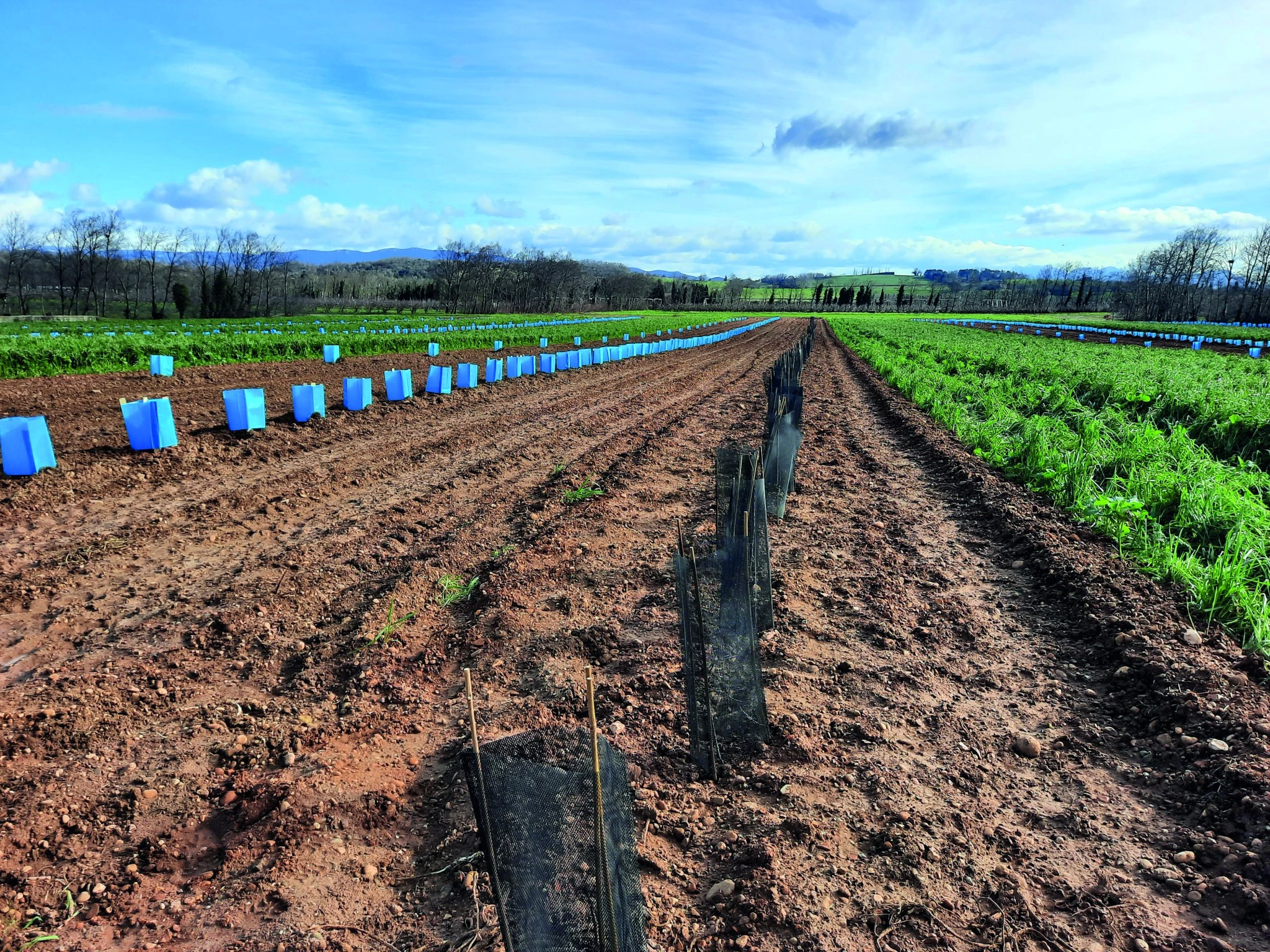Des projets agricoles “expériment’eaux”