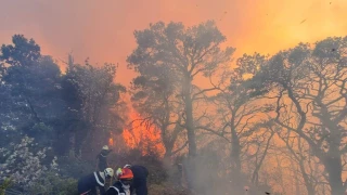 Près de 9 M€ pour accélérer la transition écologique