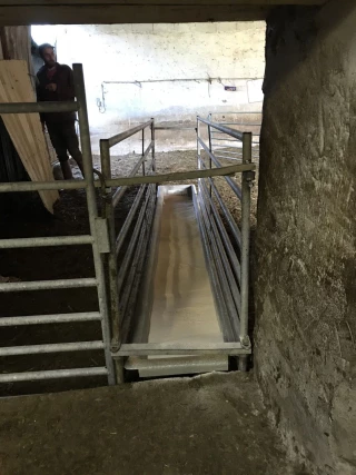 Pédiluve sec : des résultats  plutôt satisfaisants