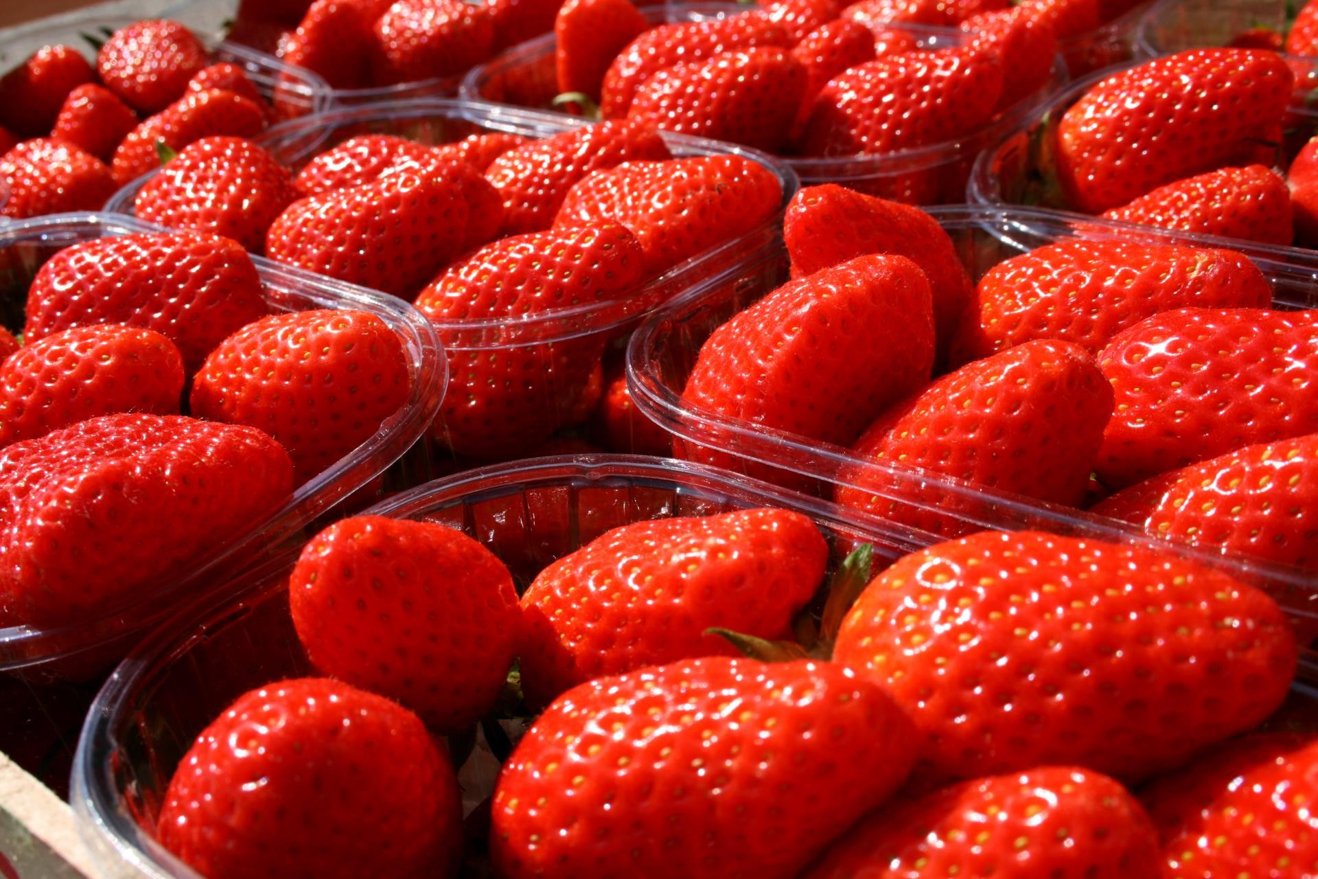 L’AOPn Fraise de France dénonce un faible référencement en GMS