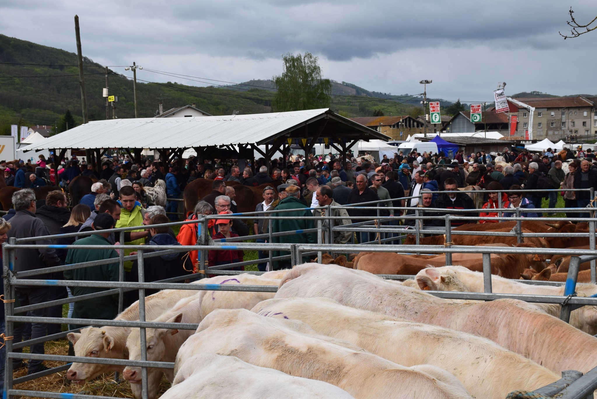 Un écovillage au cœur  de la foire de Beaucroissant