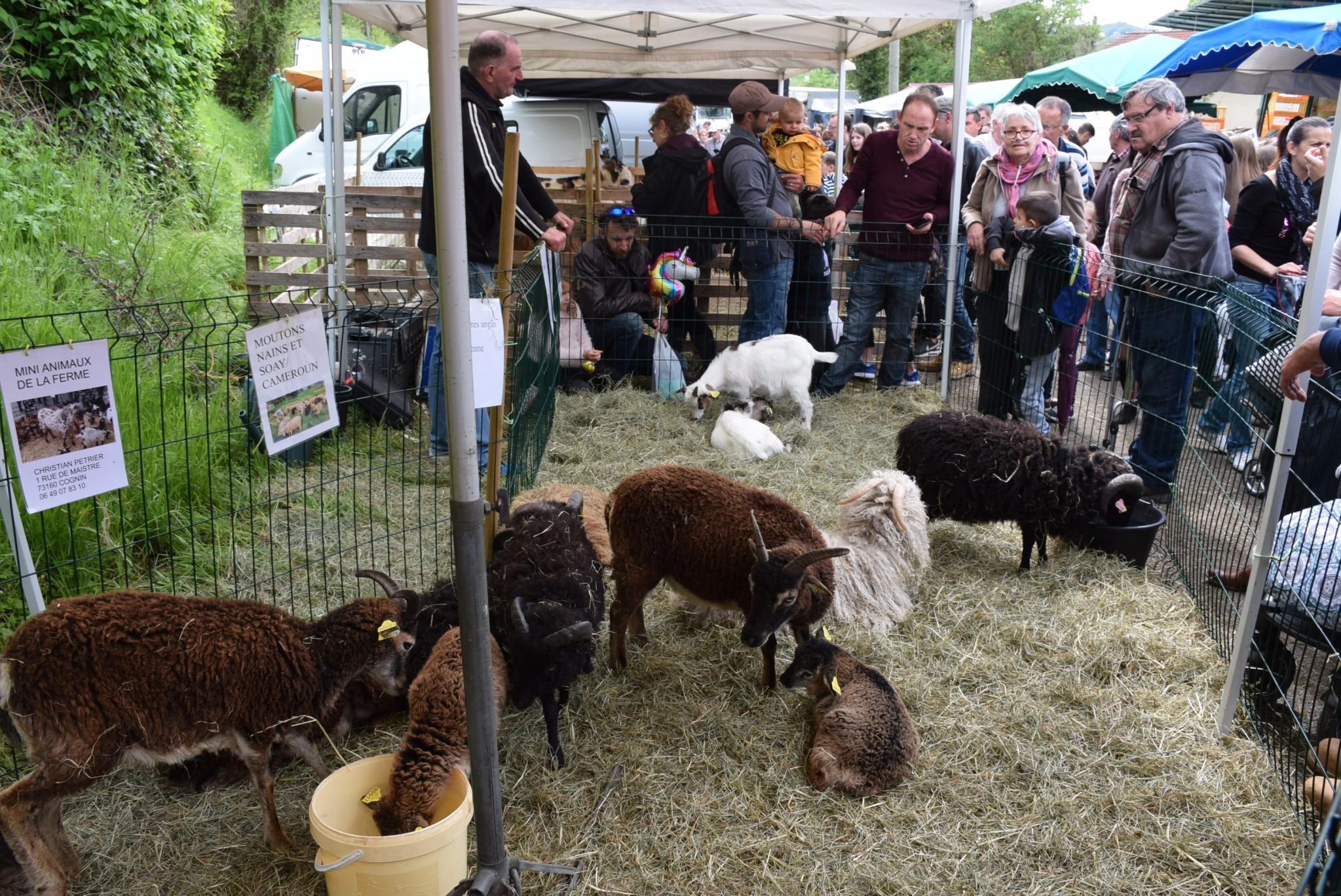 Au programme de la foire