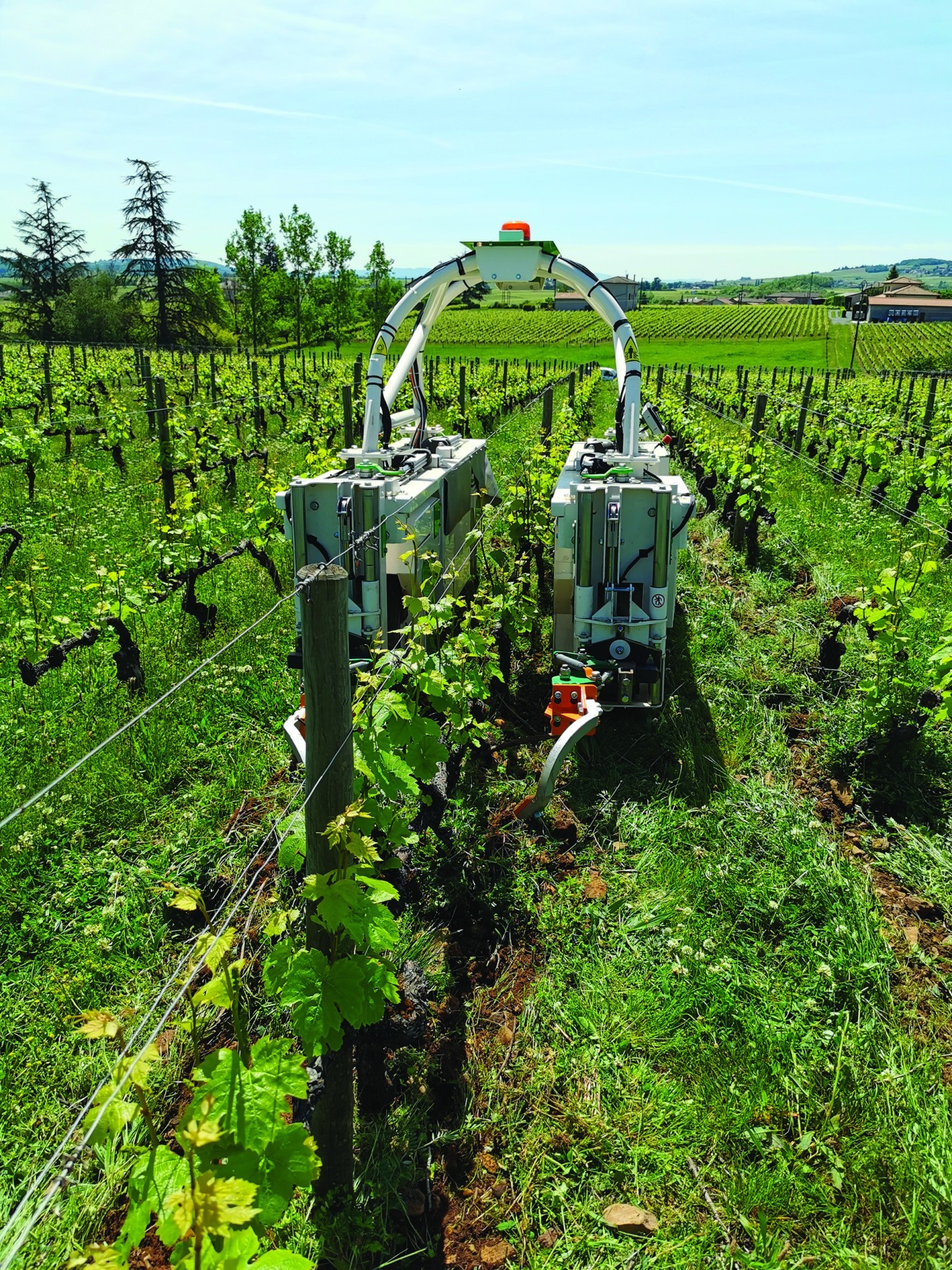 Expérimenter de nouvelles technologies pour les futurs vignerons