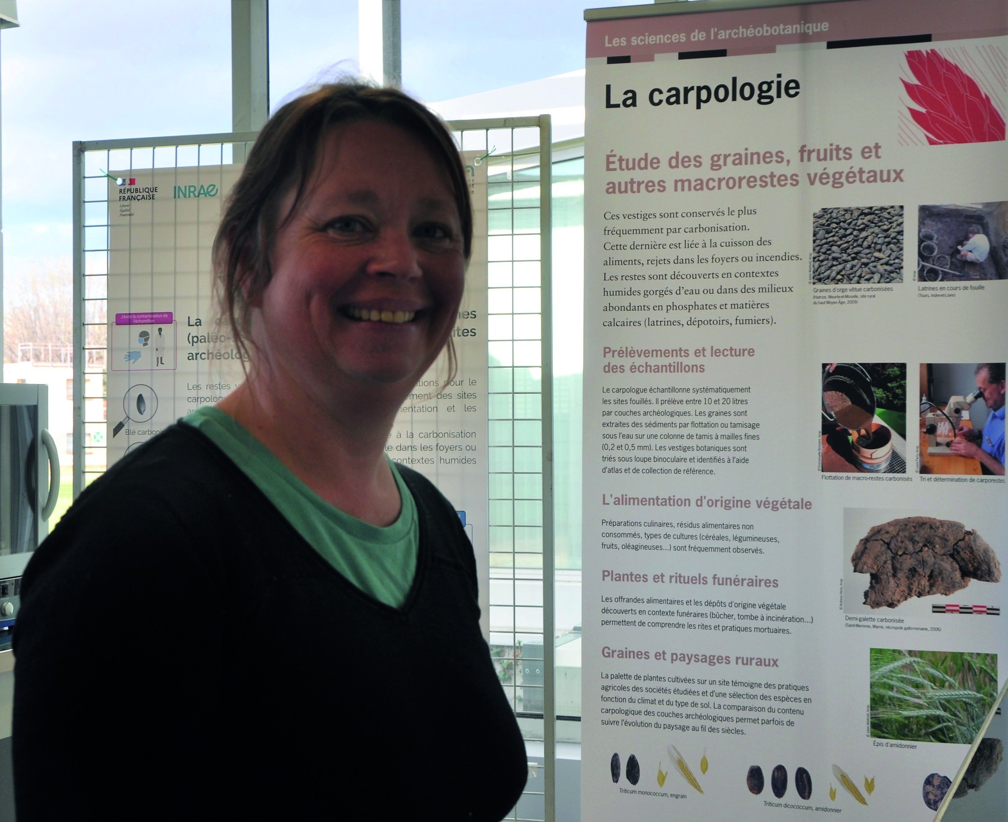 Analyser l’ADN ancien de plantes pour modéliser des scénarios d’avenir