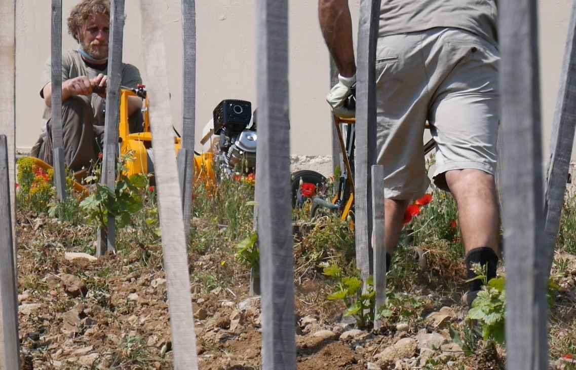 Tour d’horizons des solutions pour mécaniser les fortes pentes