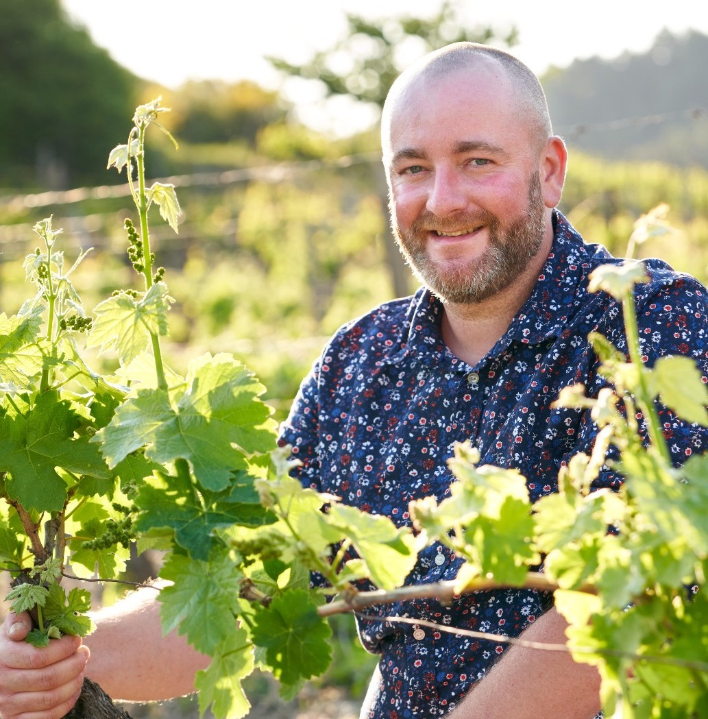 Vigne et vins seront au cœur de la fête