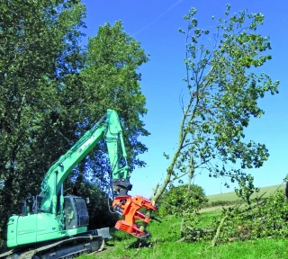 Valoriser le bois bocager