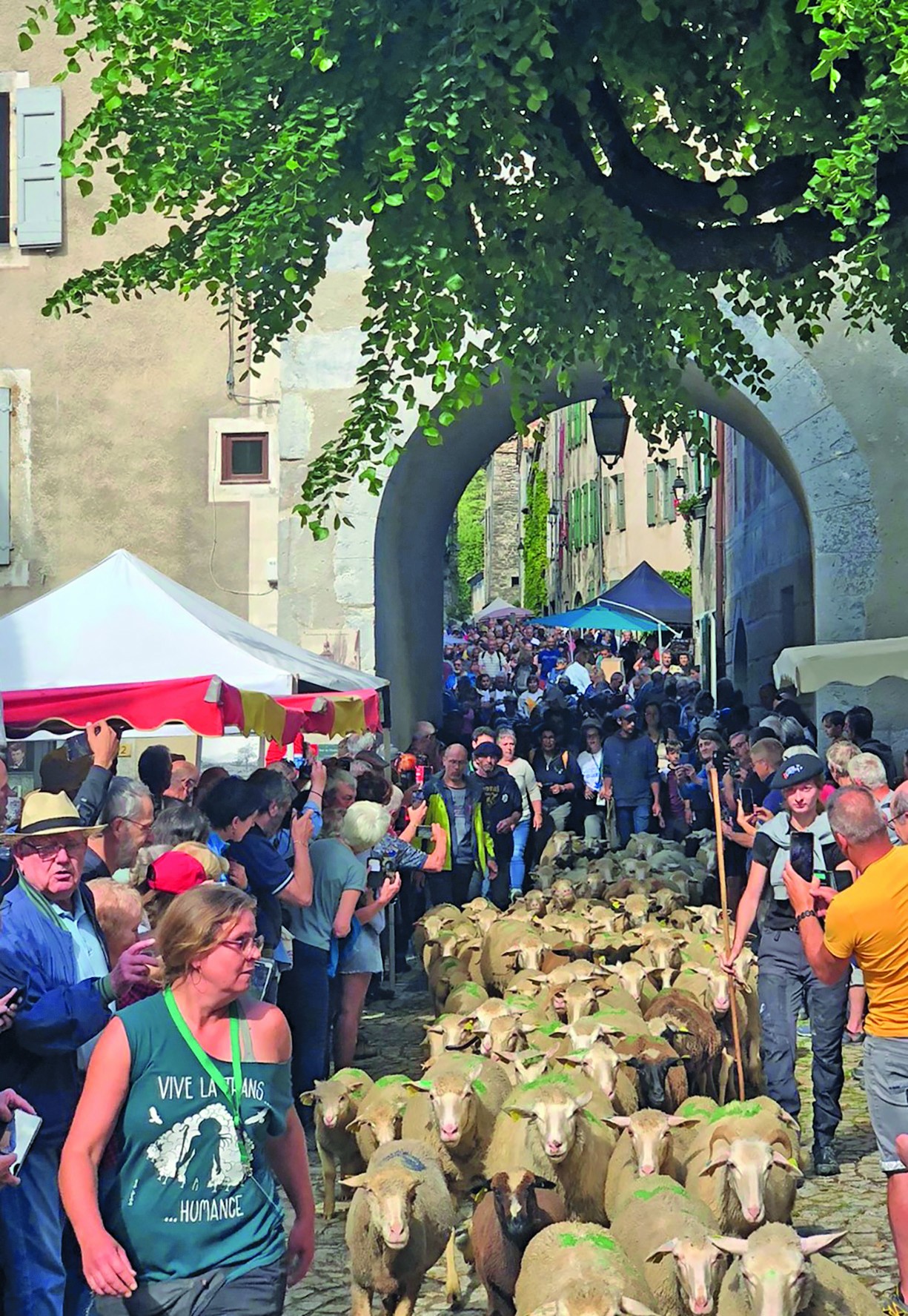Une fête de la transhumance historique
