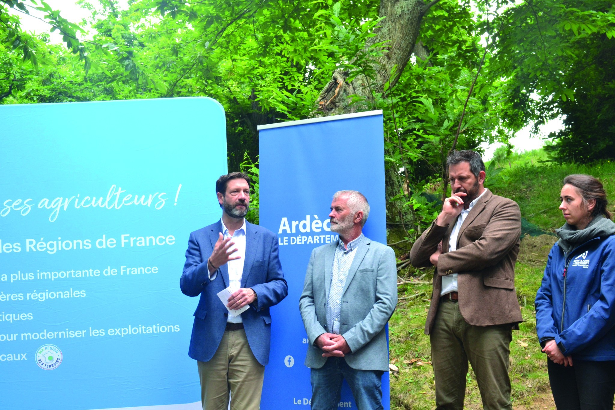 Un plan régional pour la châtaigne