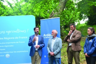 Un plan régional pour la châtaigne