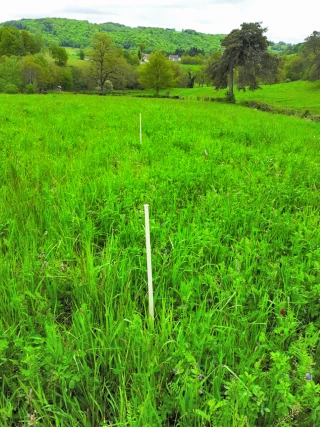 Changement climatique : l’importance  de maintenir la fertilité des prairies