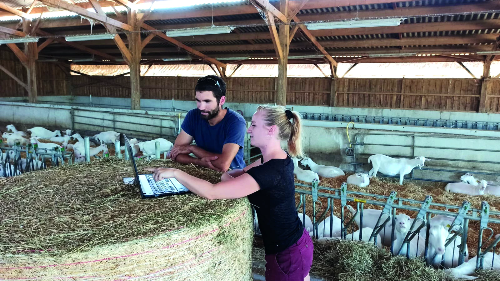 Lactation longue : des références  à acquérir