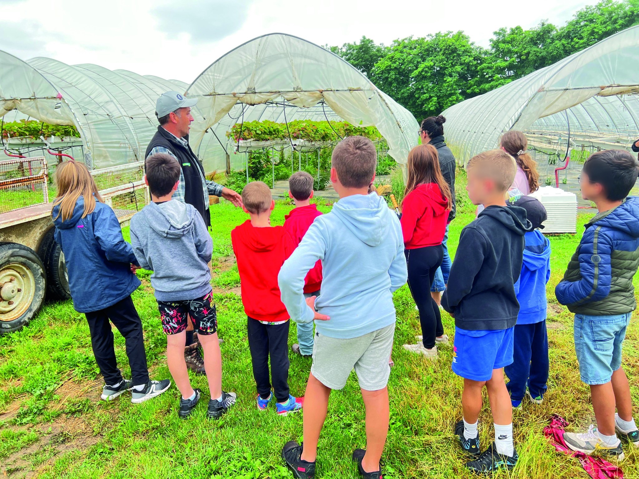 Fruits à l’école : des élèves découvrent une exploitation agricole