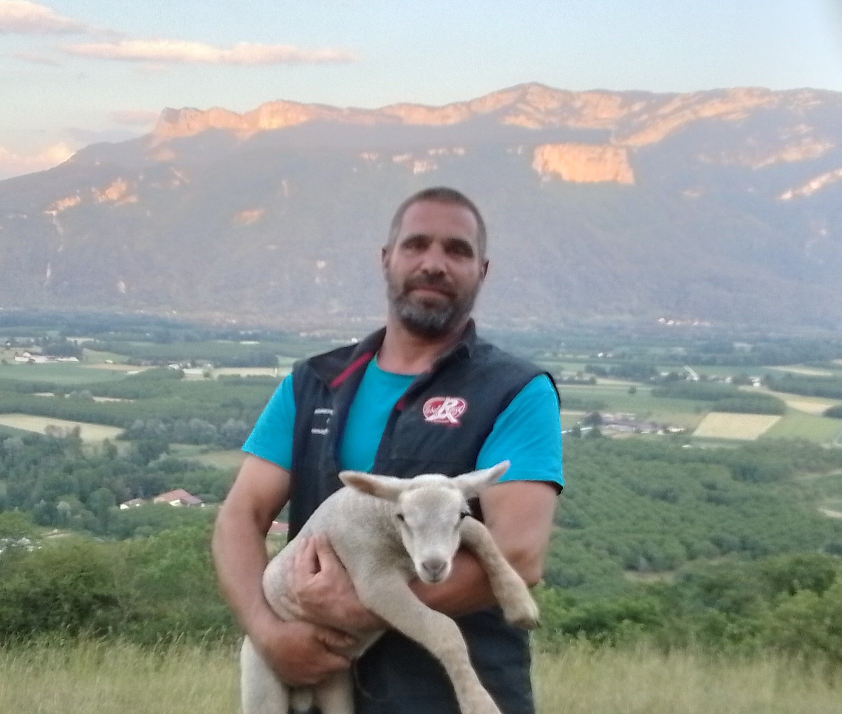 Agneau de l'adret : un label, des hommes et des territoires
