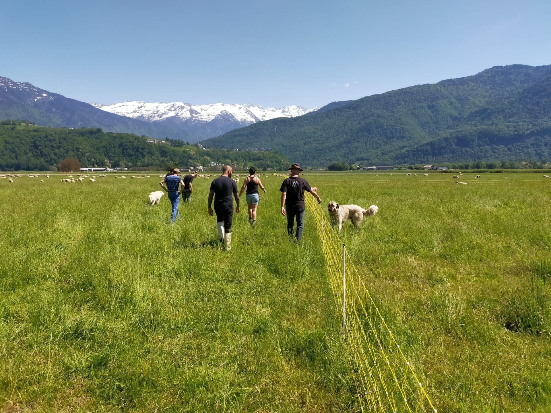 « On peut difficilement s’improviser berger »