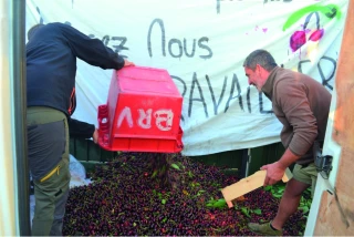 Des cerises déversées, pour faire réagir