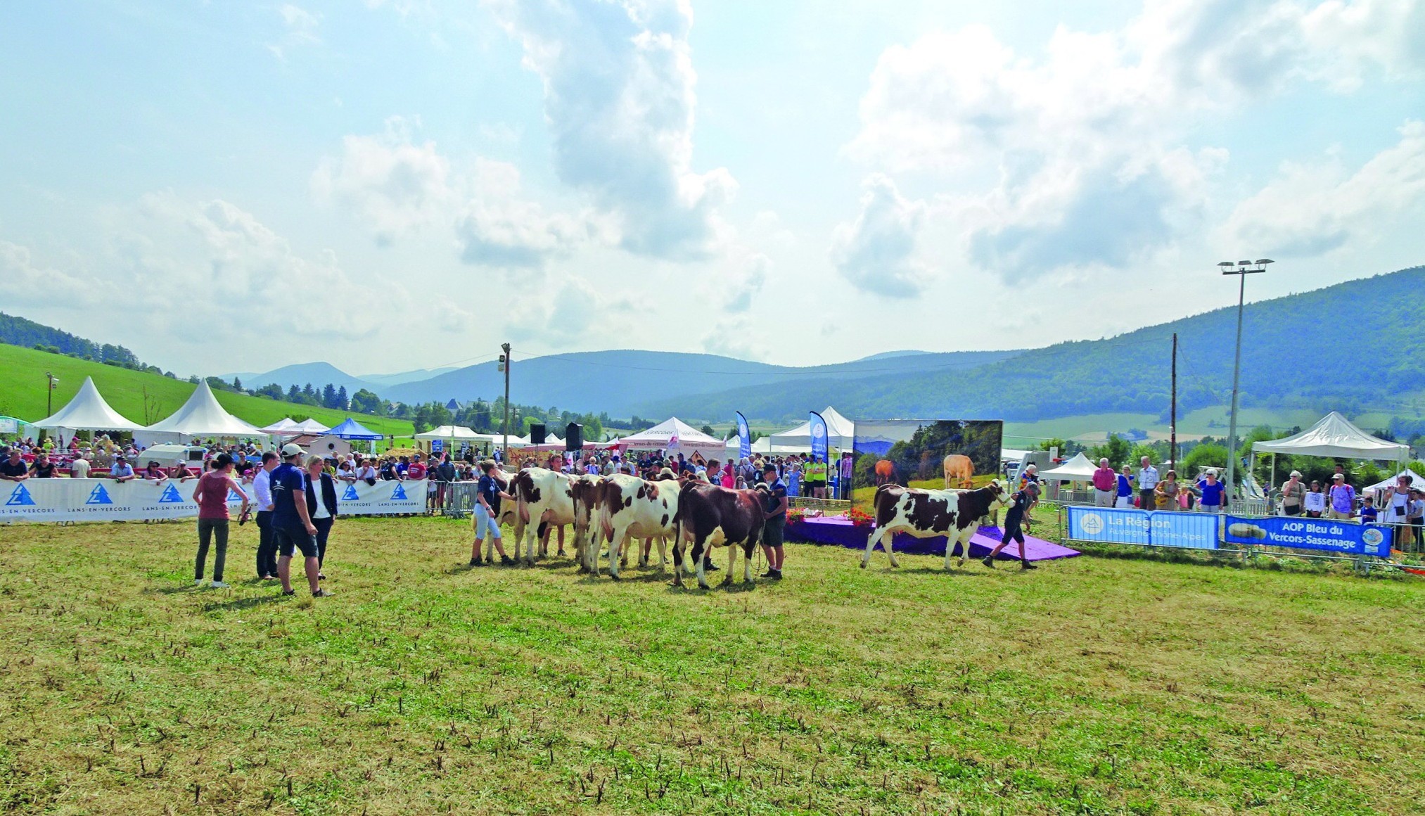 Fête du bleu : place aux jeunes