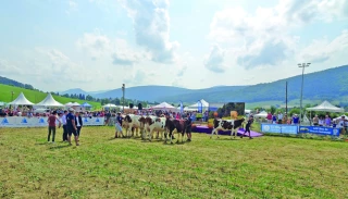 Fête du bleu : place aux jeunes