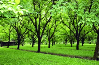 Vers un cercle vertueux