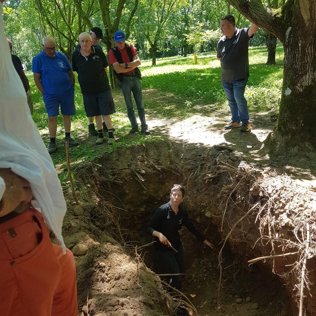 Bio-fertilisants et noyers, faire bon profil de sol