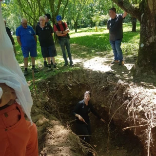 Bio-fertilisants et noyers, faire bon profil de sol 