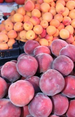 Pêches et abricots : une mise en avant imparfaite de l’origine France