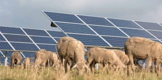 Agrivoltaïsme : UNITe signe la charte de la FNO