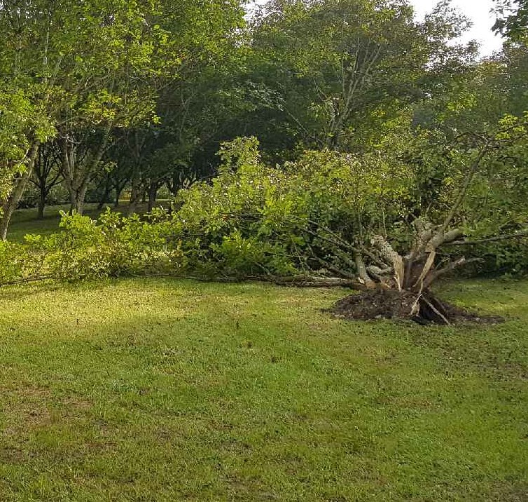 Encore des orages, encore des dégâts