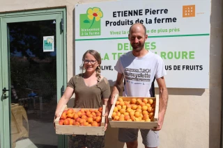 Baronnies : sentiment d’abandon chez les producteurs d’abricots
