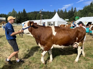L’agriculture au centre de la Fête du bleu