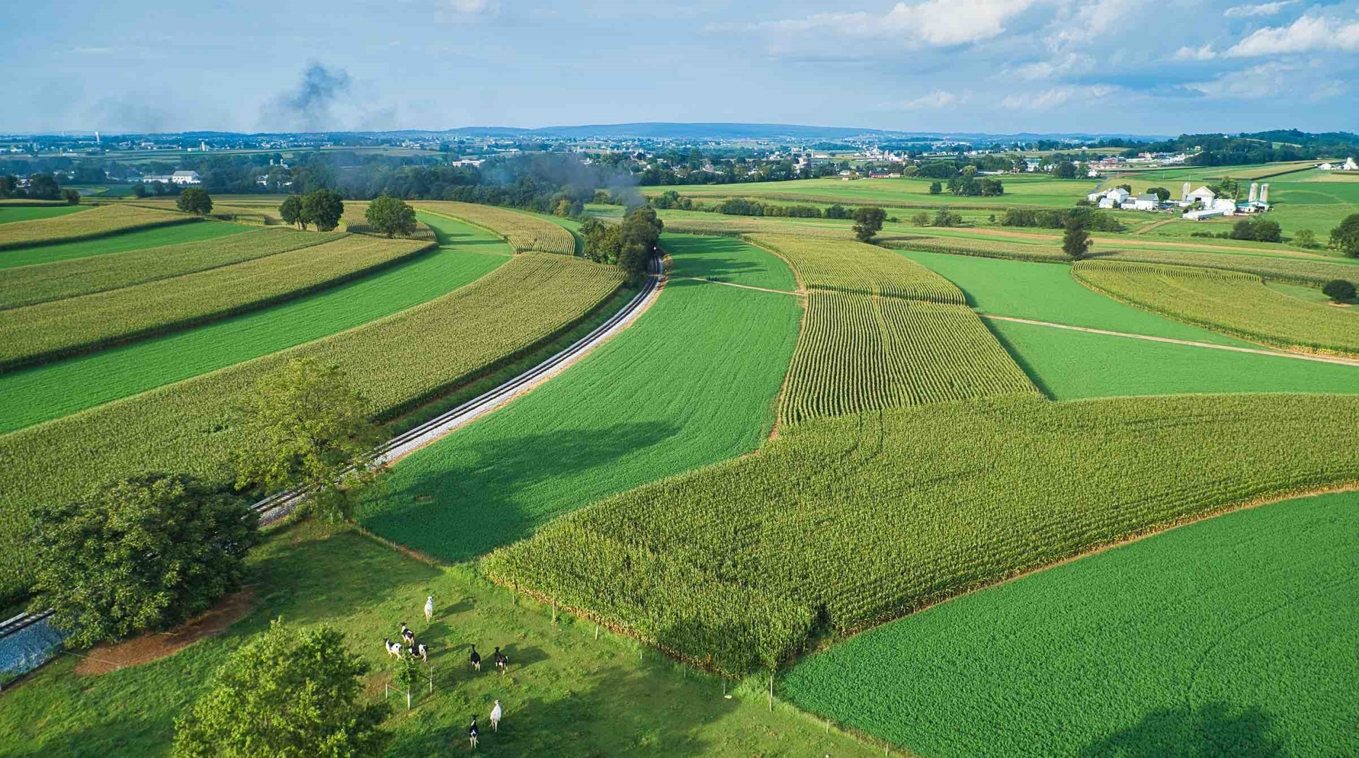 D’importants écarts de prix sur les terres arables