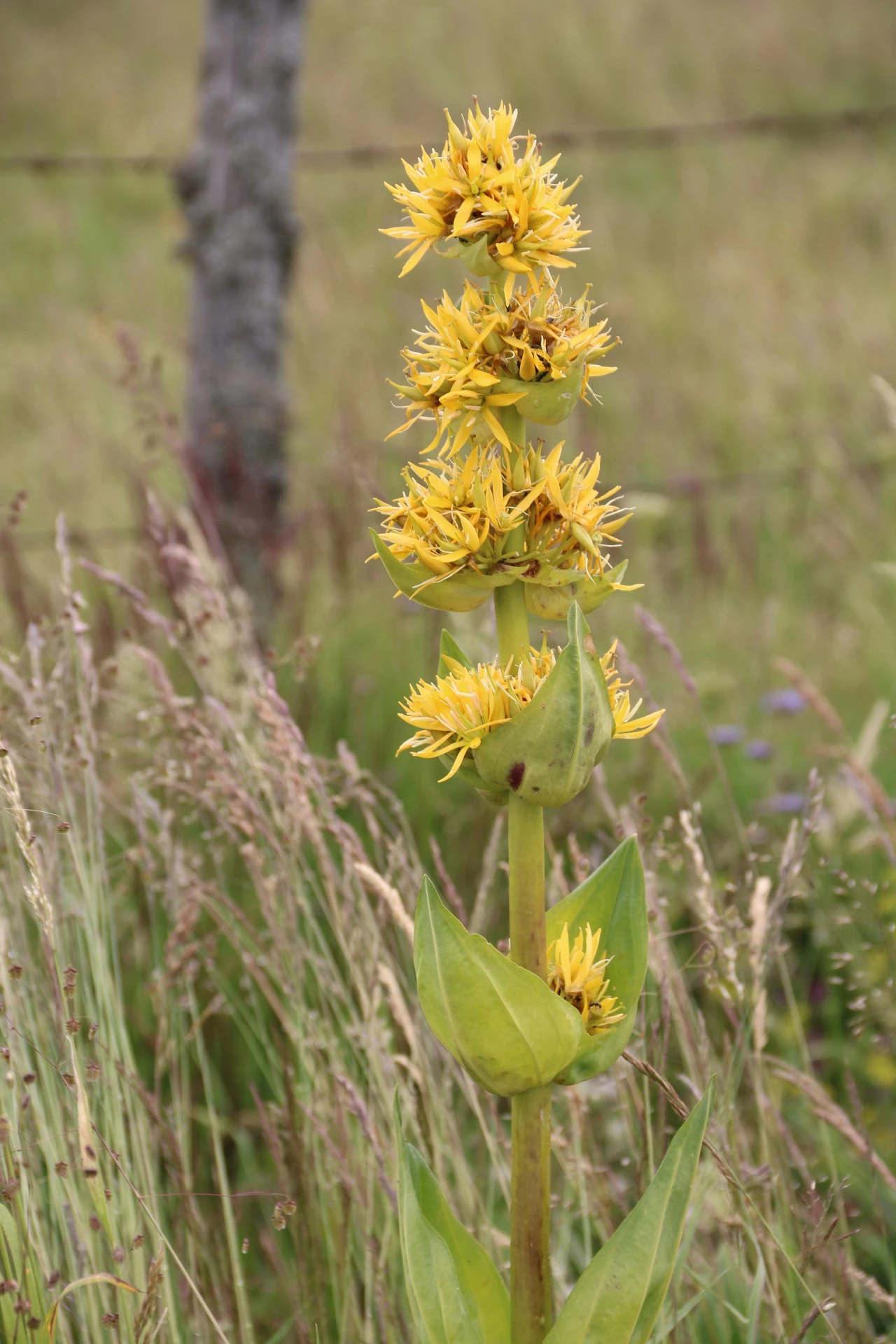 Filière en chiffres
