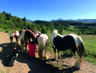 Le Cros  de l’Oume :  se reconstruire avec les chevaux