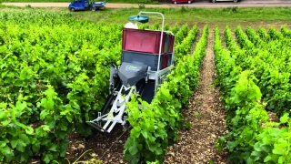 Moins de main-d’œuvre grâce  au débardeur de caisses à vendange